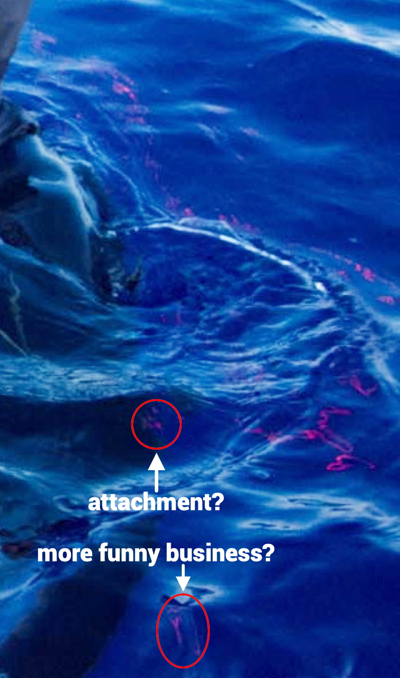 A picture containing text
Description automatically generated